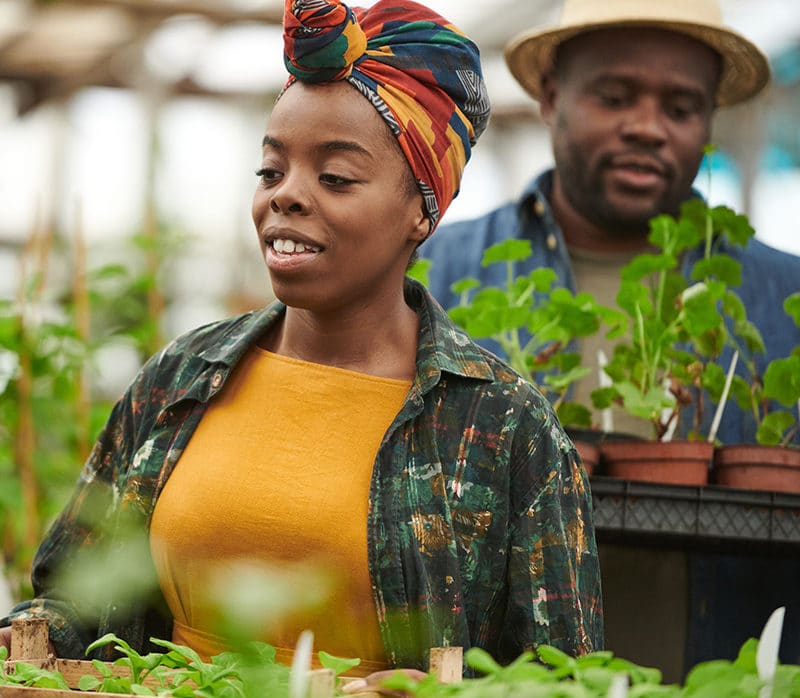 What Is Native Gardening?