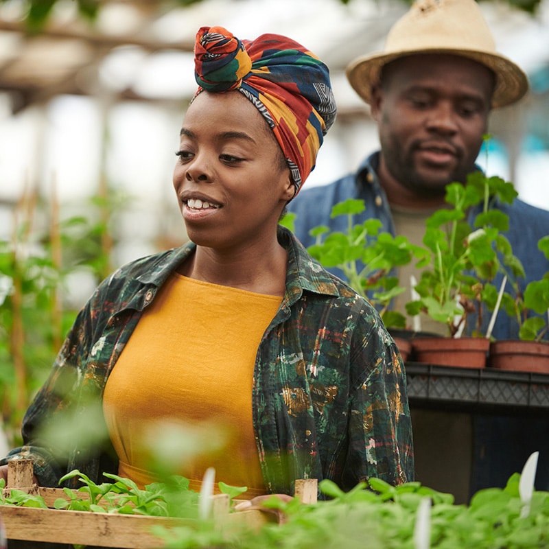 What Is Native Gardening? - T.A.M.G Realty Incorporated